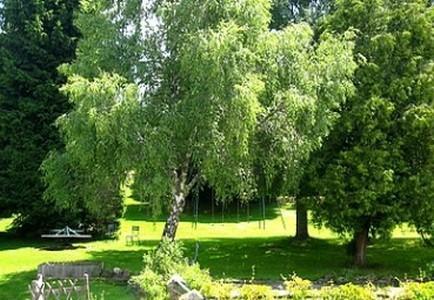 Hotel La Clairiere Chambon-sur-Dolore Екстер'єр фото